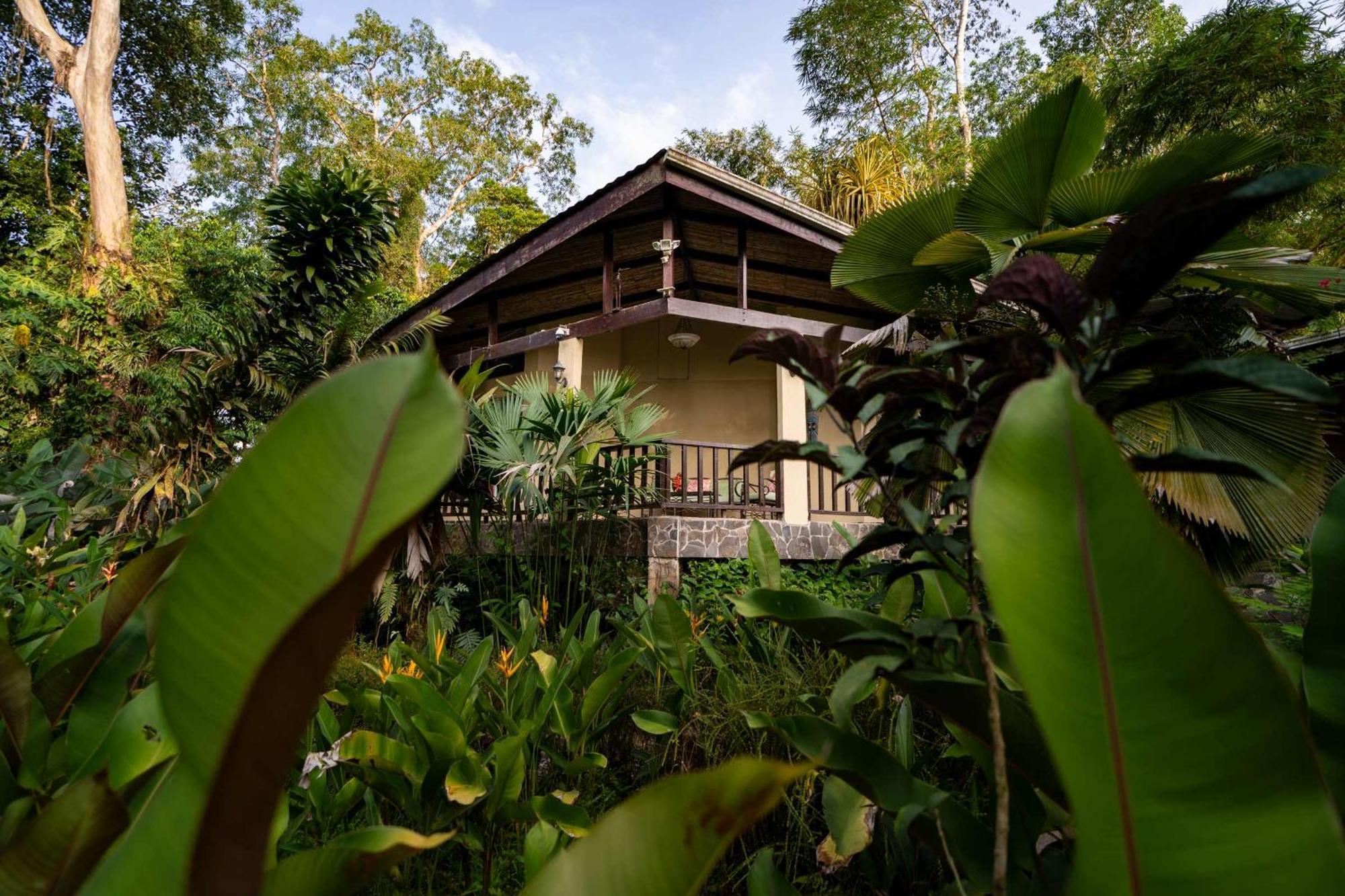 Bed and Breakfast Heliconia Island Las Horquetas Zewnętrze zdjęcie
